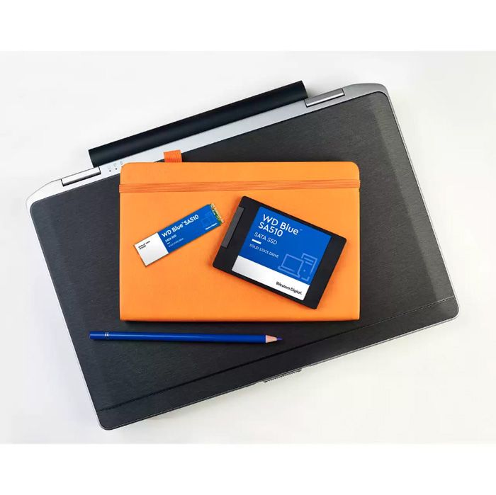 Ssd Western Blue 500G 