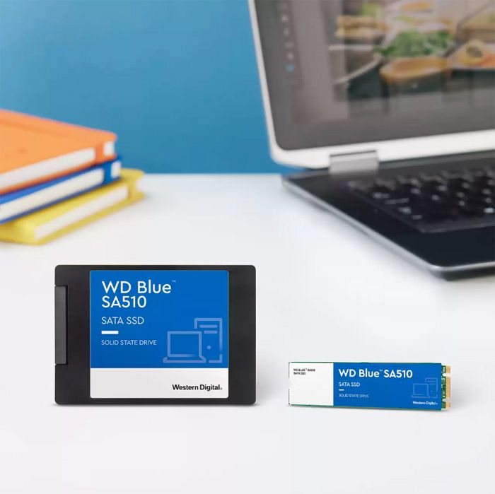 Ssd Western Blue 500G 