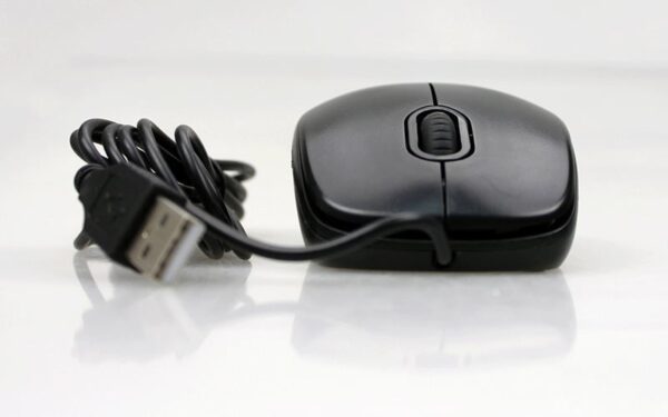 Chuột Logitech B100 Chính Hãng