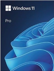 Phần mềm ứng dụng Windows GGWA - Windows 11 Professional - Legalization GetGenuine